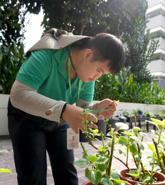 ‘The ground is not ready’: PWDs, caregivers raise concerns over finding jobs and staying employed